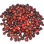 Fruits de doum entiers rouge-brun en vrac sur fond blanc