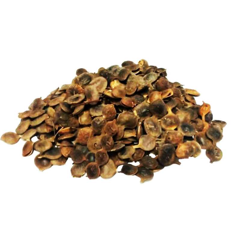 Loose brown dried Acacia nilotica pod pieces on a white background