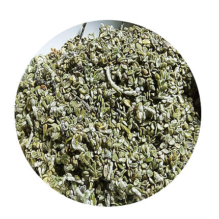Close-up of loose dried sage-green Metnane leaves mixed with pale woolly shoots, shown in a round frame on a white background