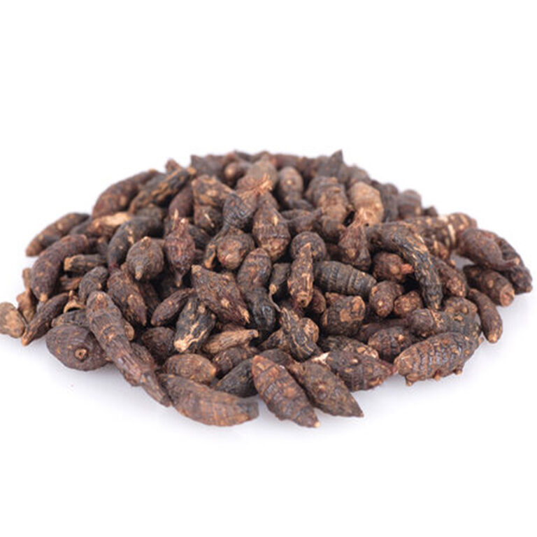 A heap of small dark brown ringed Cyperus nut grass tubers with fibrous tips on a white background