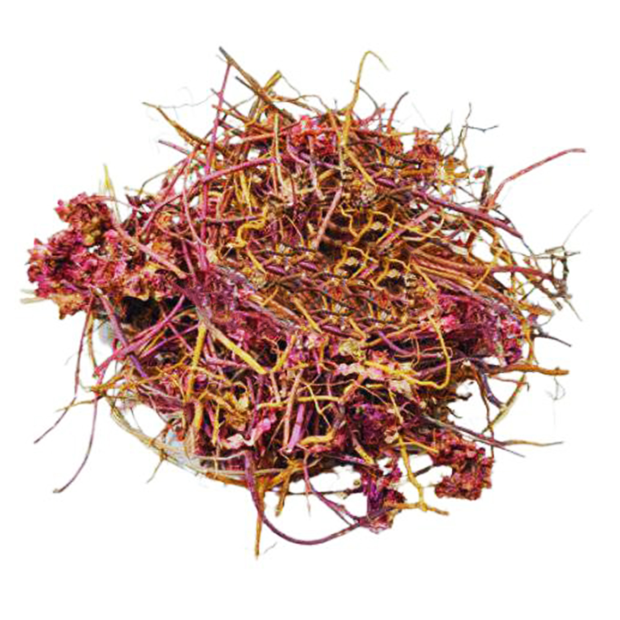001-Organic-Moroccan-Oregano-Roots-2 A loose tangle of slender dried roots and stems in rose-red and golden shades, with clusters of dried pink flowers, on a white background