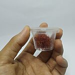 A hand holding a small clear lidded plastic cup filled with loose deep-red saffron threads with lighter yellow ends, against a plain white background