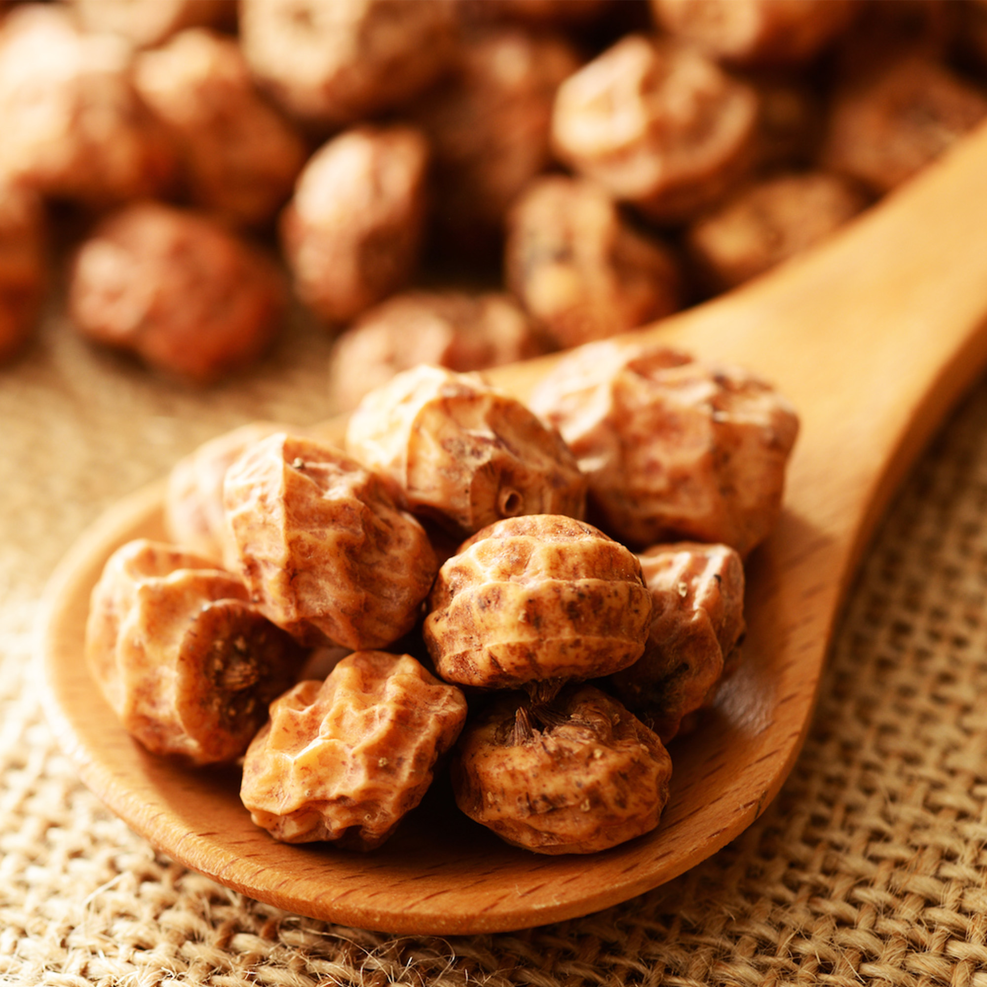 001-TIGER-NUTS2 Close-up of wrinkled golden-brown dried tiger nuts heaped on a wooden spoon over burlap, with more tiger nuts blurred in the background