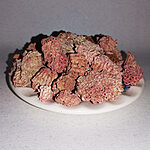 Reddish-pink porous Dragon's Blood resin pieces piled on a white plate