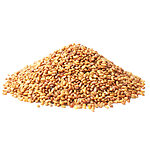 A mound of small kidney-shaped alfalfa seeds in golden and light-brown tones on a white background