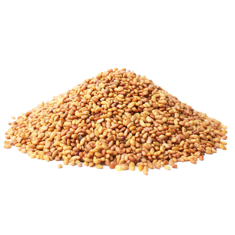 A mound of small kidney-shaped alfalfa seeds in golden and light-brown tones on a white background