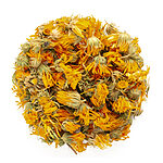Capitules de calendula séchés orange et jaunes avec bases vertes sur fond blanc