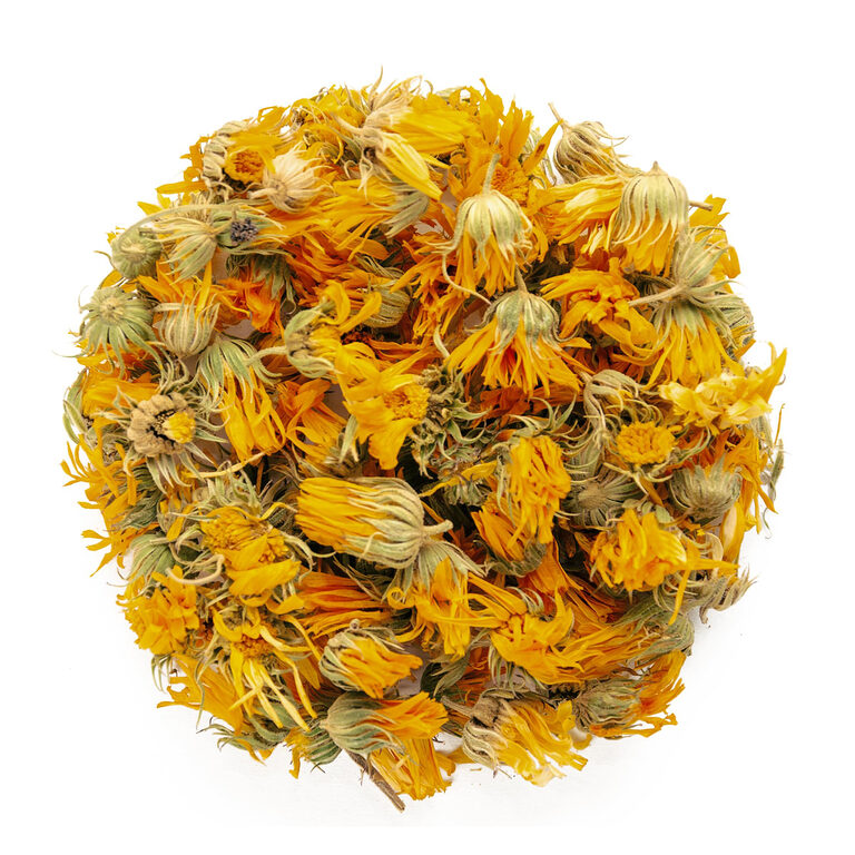 Loose dried orange and yellow calendula flower heads with green bases on a white background