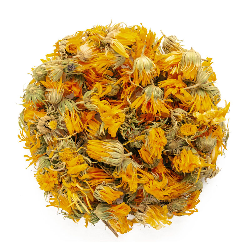 Loose dried orange and yellow calendula flower heads with green bases on a white background
