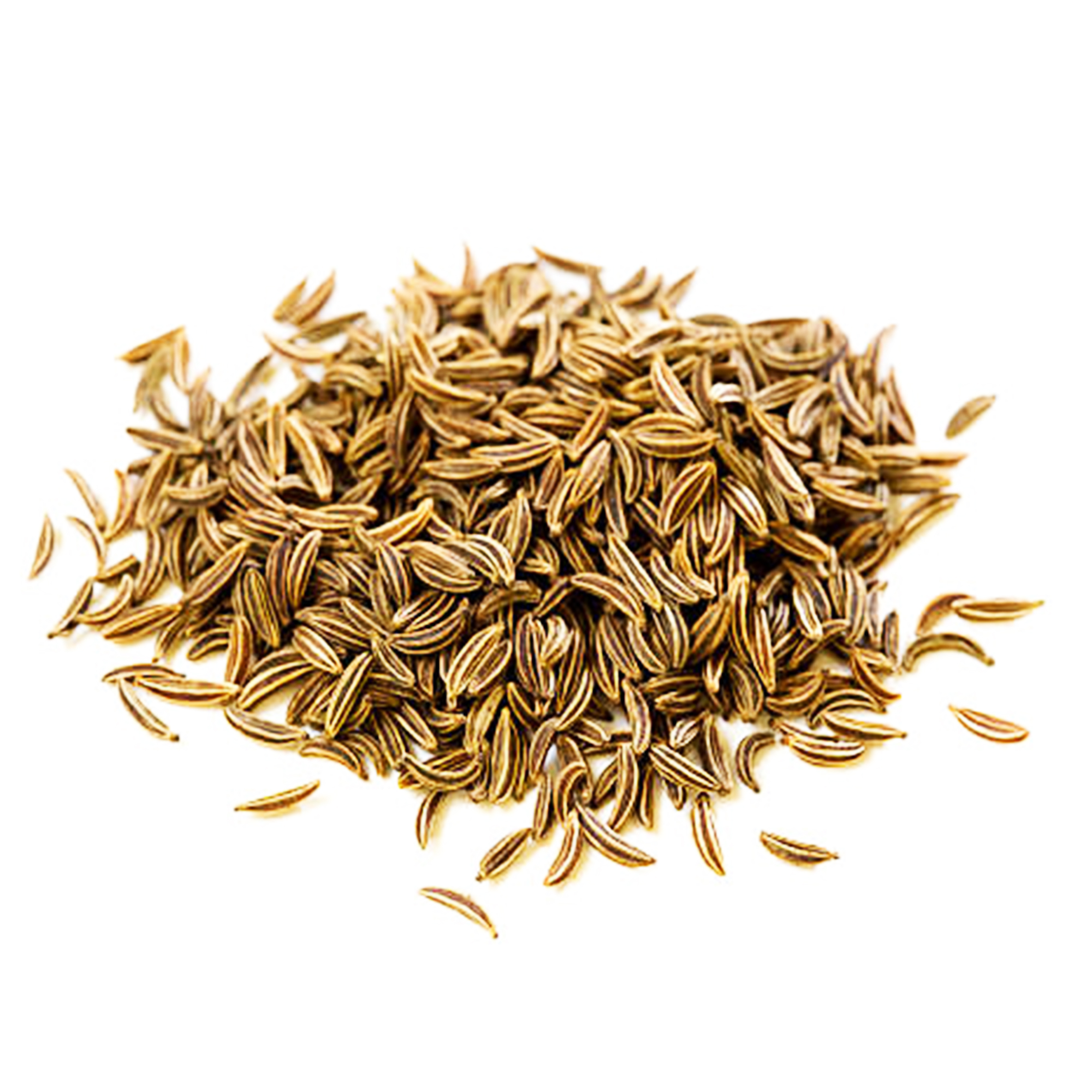 001-moroccan-caraway-seeds-variation Gros plan de graines de carvi brunes entières et striées sur fond blanc