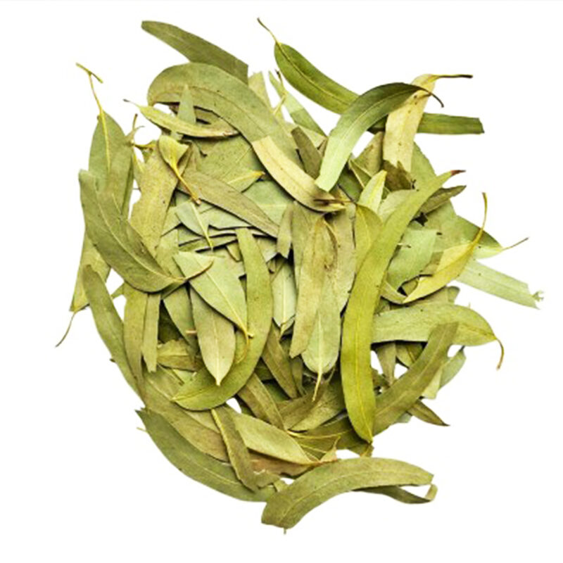 Loose long narrow dried eucalyptus leaves in soft green and olive tones on a white background