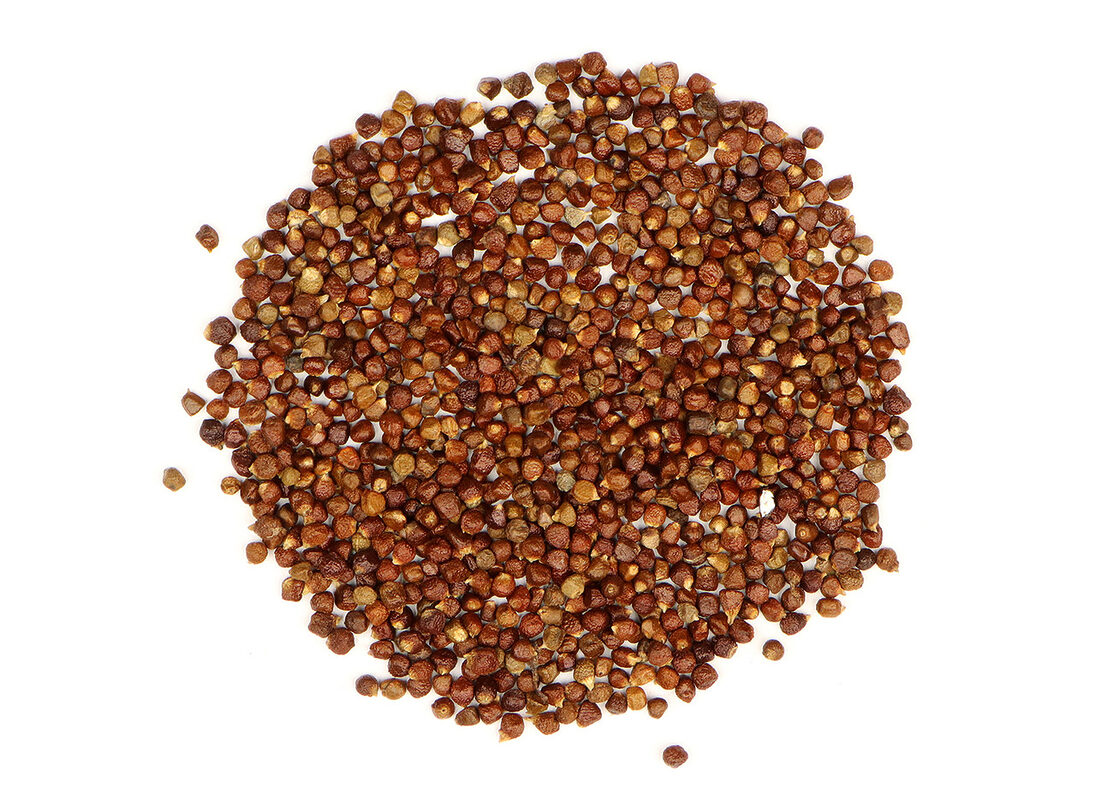 Loose reddish-brown grains of paradise arranged on a white background