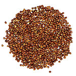 Loose reddish-brown grains of paradise arranged on a white background