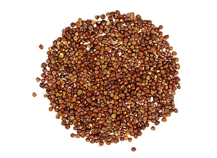 Loose reddish-brown grains of paradise arranged on a white background
