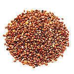 A round mound of small reddish-brown radish seeds with a few golden and dark seeds, on a white background