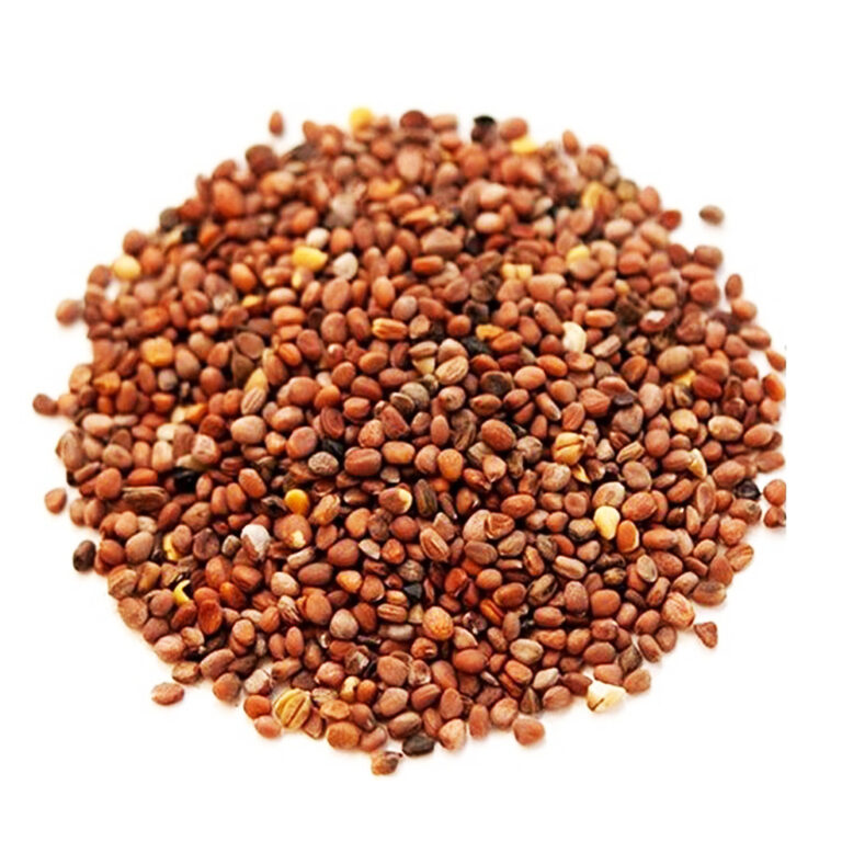 A round mound of small reddish-brown radish seeds with a few golden and dark seeds, on a white background