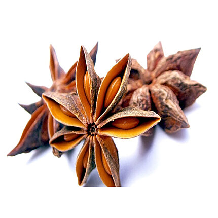 Three whole dried star anise pods on a white background, the front pod open to show glossy brown seeds inside its points