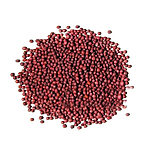Un monticule rond de minuscules graines de navet lisses rouge rosé, éparpillées sur fond blanc