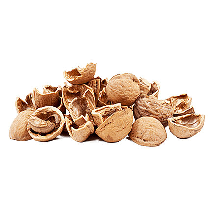Loose broken light-brown walnut shell pieces on a white background
