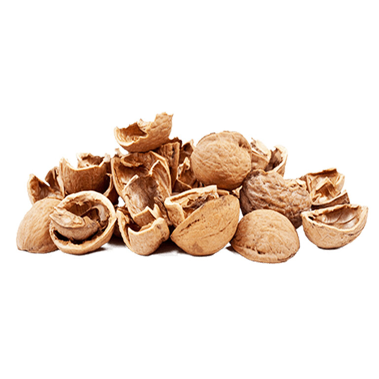 Loose broken light-brown walnut shell pieces on a white background