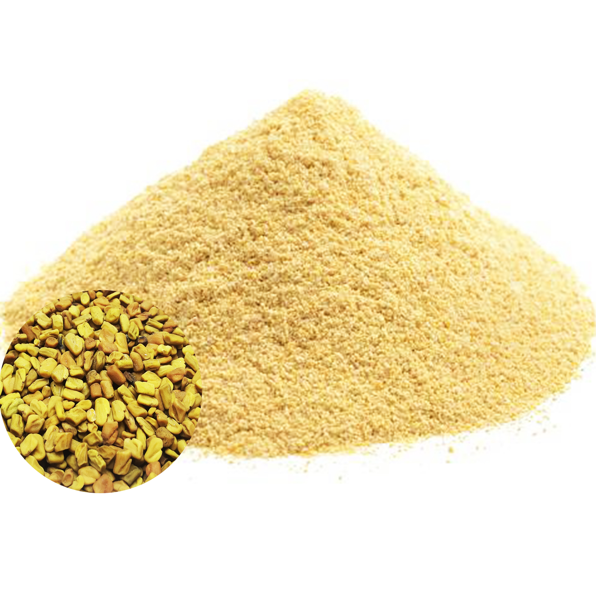 001-v-15 Mound of pale golden fenugreek powder with an inset of whole fenugreek seeds on a white background
