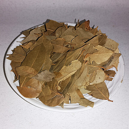 Whole dried bay leaves piled on a white plate
