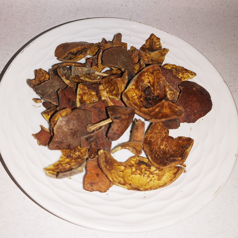 Irregular brown, red-brown and golden dried pomegranate-peel pieces on a white plate.