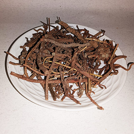 Loose reddish-brown dried madder root pieces on a white plate