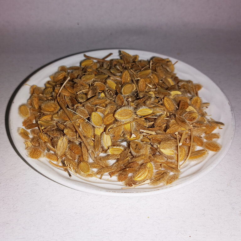 Pièces de cumin soufi séchées brun doré, enveloppes et fines tiges sur une assiette blanche