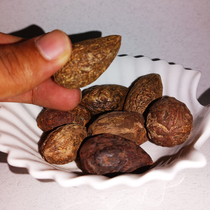 Encens marocain naturel Ood Saleeb, racine de pivoine séchée – Image 2