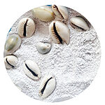 Fine poudre claire de coquillage cauri entourée de cauris entiers