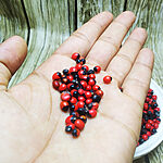 Hand holding red-and-black Abrus precatorius seeds above a bowl of loose seeds